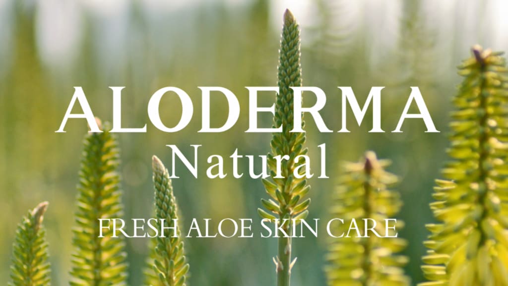 Aloderma Aloe Vera Gel Made within 12 Hours of Harvest with 96% Pure Organic Aloe Vera for Skin, Scalp, & Hair, Soothing Aloe Face Moisturizer, Multipurpose, Hydrating Aloe Gel, 7.05oz